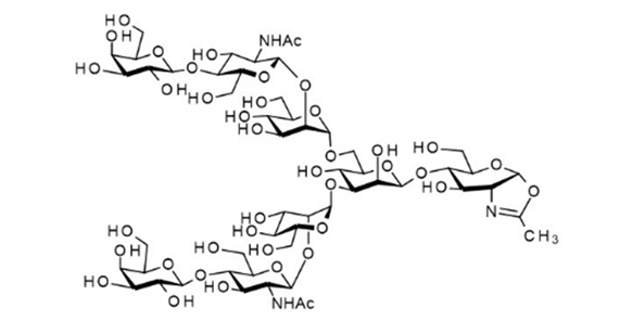 Asialoglycan-Oxazoline