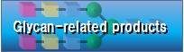 Glycan-related products