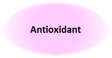 Antioxidant