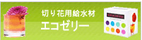 エコゼリー株式会社