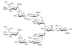 SG-Oxazoline