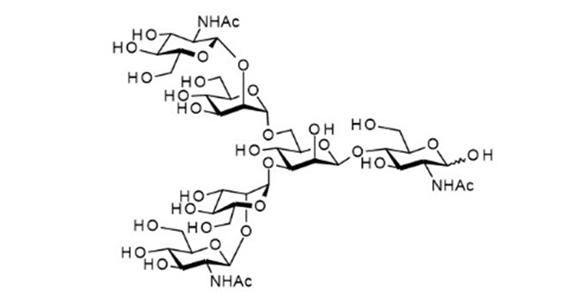 Agalactoglycan