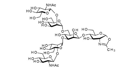 Agalactoglycan-Oxazoline